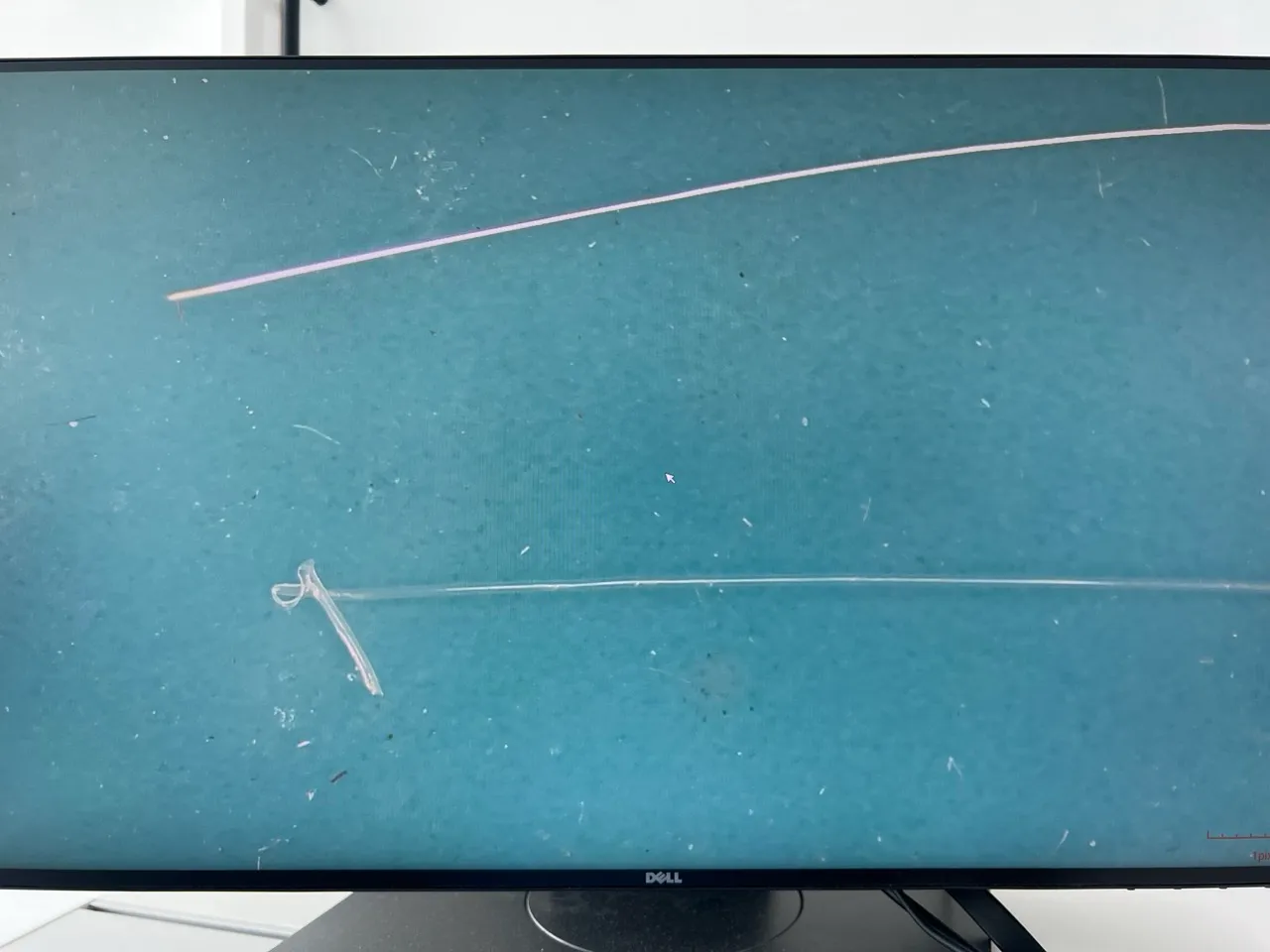 Silver wire that is stripped